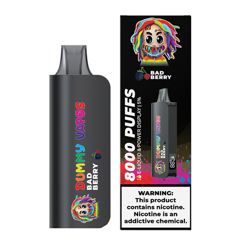 Dummy Vapes 8000 Puffs Disposable Vape Device - 6PCS - Shop Shefa