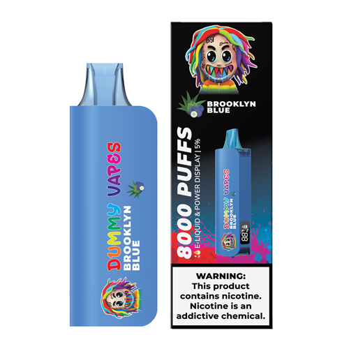 Dummy Vapes 8000 Puffs Disposable Vape Device - 6PCS - Shop Shefa
