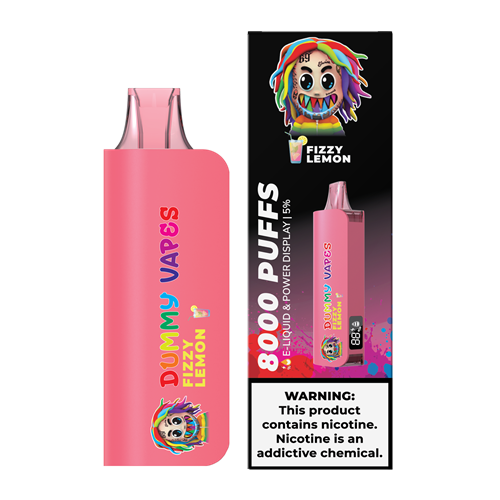 Dummy Vapes 8000 Puffs Disposable Vape Device - 6PCS - Shop Shefa