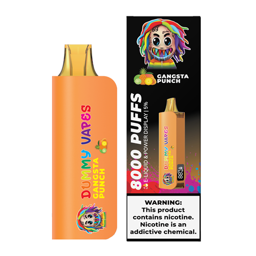 Dummy Vapes 8000 Puffs Disposable Vape Device - 6PCS - Shop Shefa