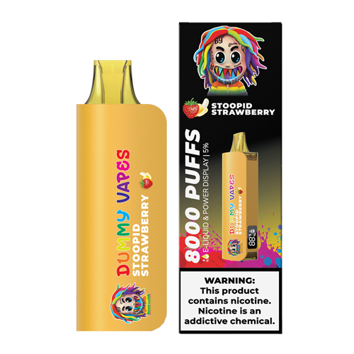 Dummy Vapes 8000 Puffs Disposable Vape Device - 6PCS - Shop Shefa
