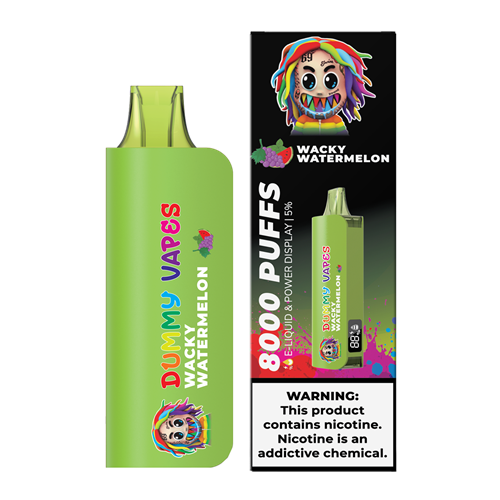 Dummy Vapes 8000 Puffs Disposable Vape Device - 6PCS - Shop Shefa