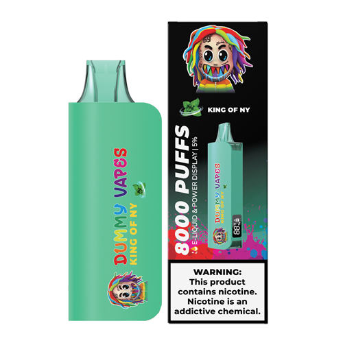 Dummy Vapes 8000 Puffs Disposable Vape Device - 6PCS - Shop Shefa