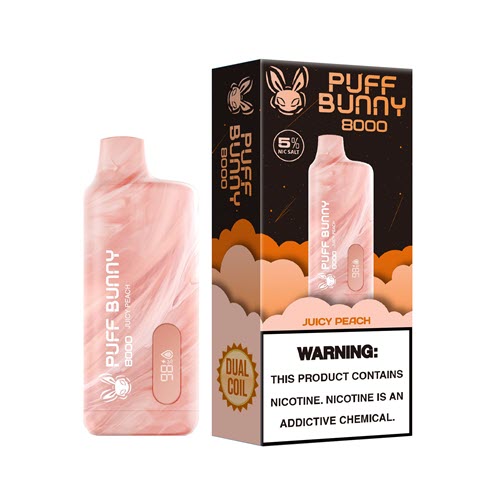 Puff Bunny 8000 Puffs Disposable Vape Device - Shop Shefa