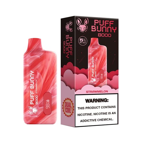 Puff Bunny 8000 Puffs Disposable Vape Device - Shop Shefa